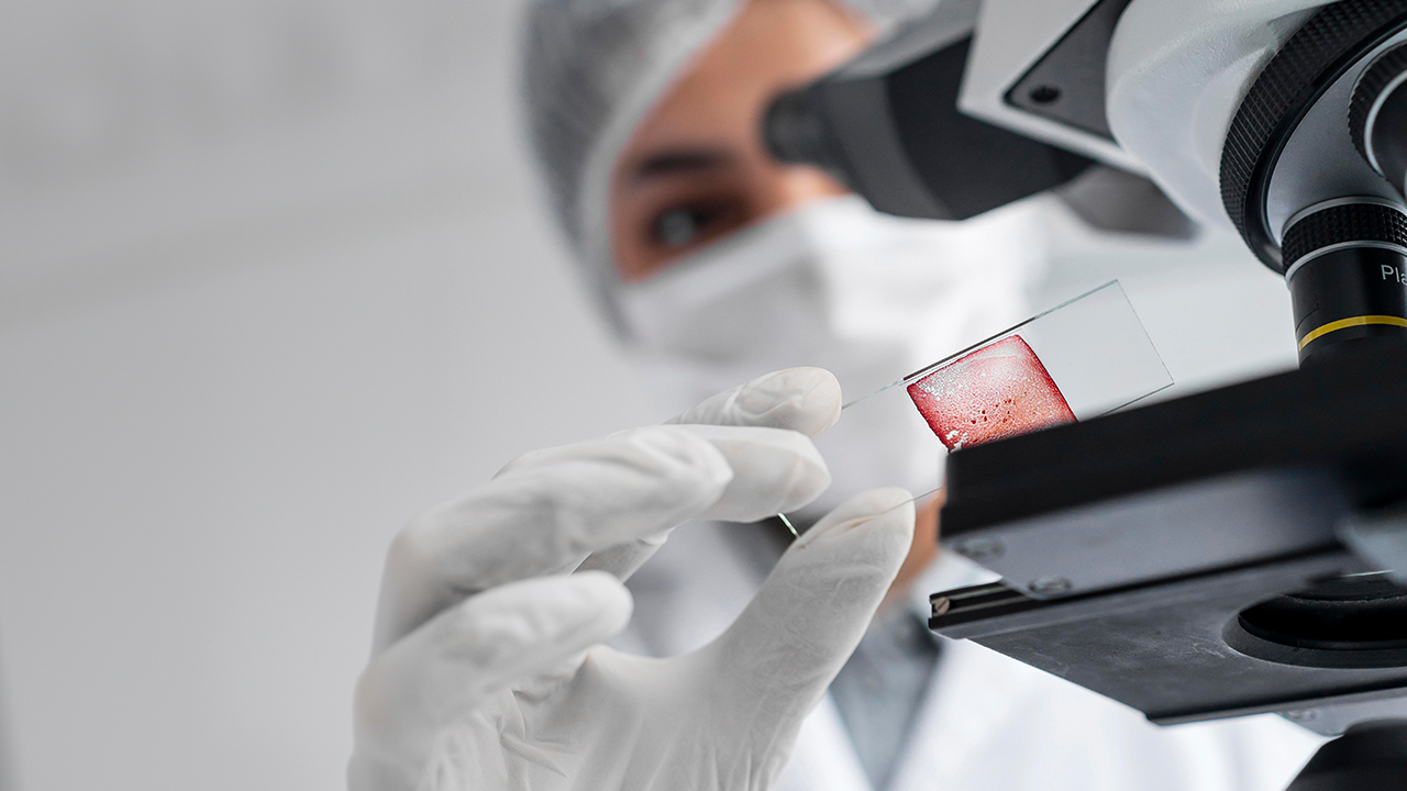 Hematologia